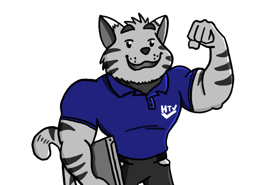 Cartoon eines muskulösen Katers in blauer Poloshirts mit Laptop und erhobenem Arm, der Stärke symbolisiert.