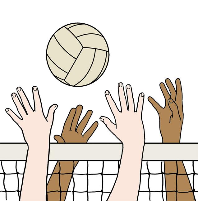 Hände von Spielern erreichen einen Volleyball, der über ein Netz schwebt, auf einem weißen Hintergrund.