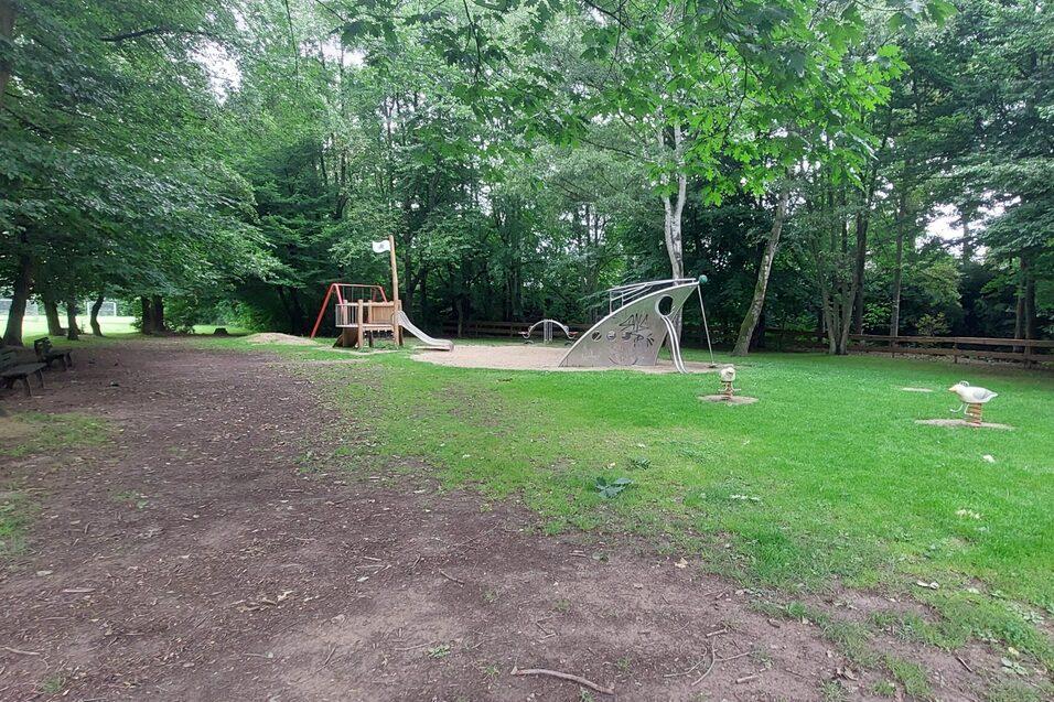 Spielplatz im Wald mit Rasenfl&auml;che, Schaukeln und einem Kletterger&uuml;st, umgeben von B&auml;umen.